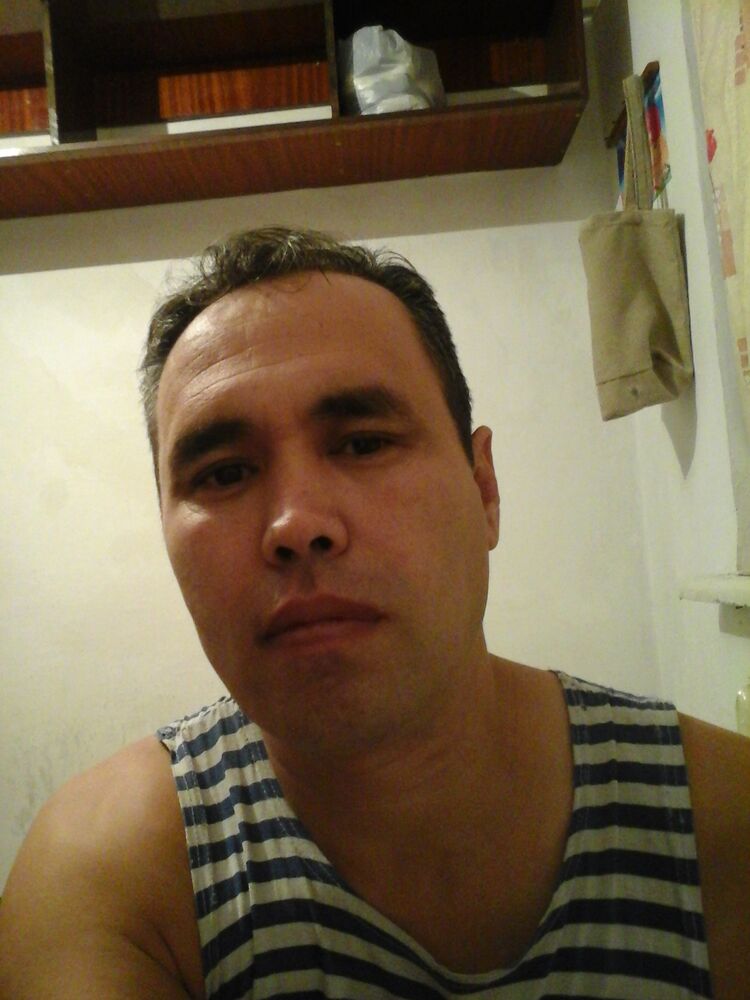  51336138  , 49 ,    