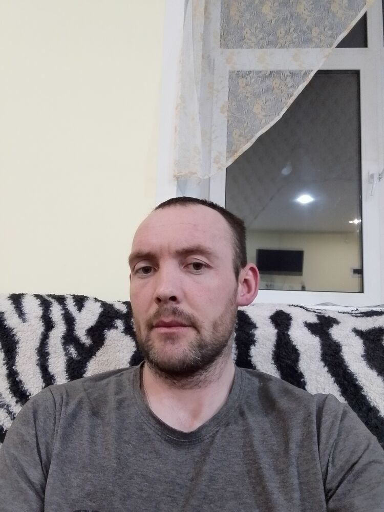  50013648  , 31 ,    