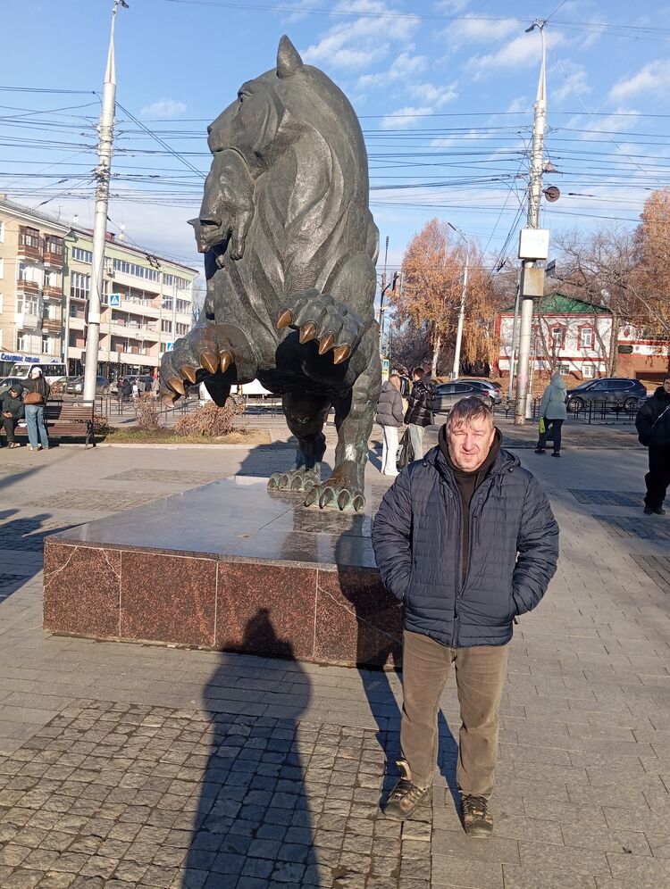  54536368  , 49 ,    -