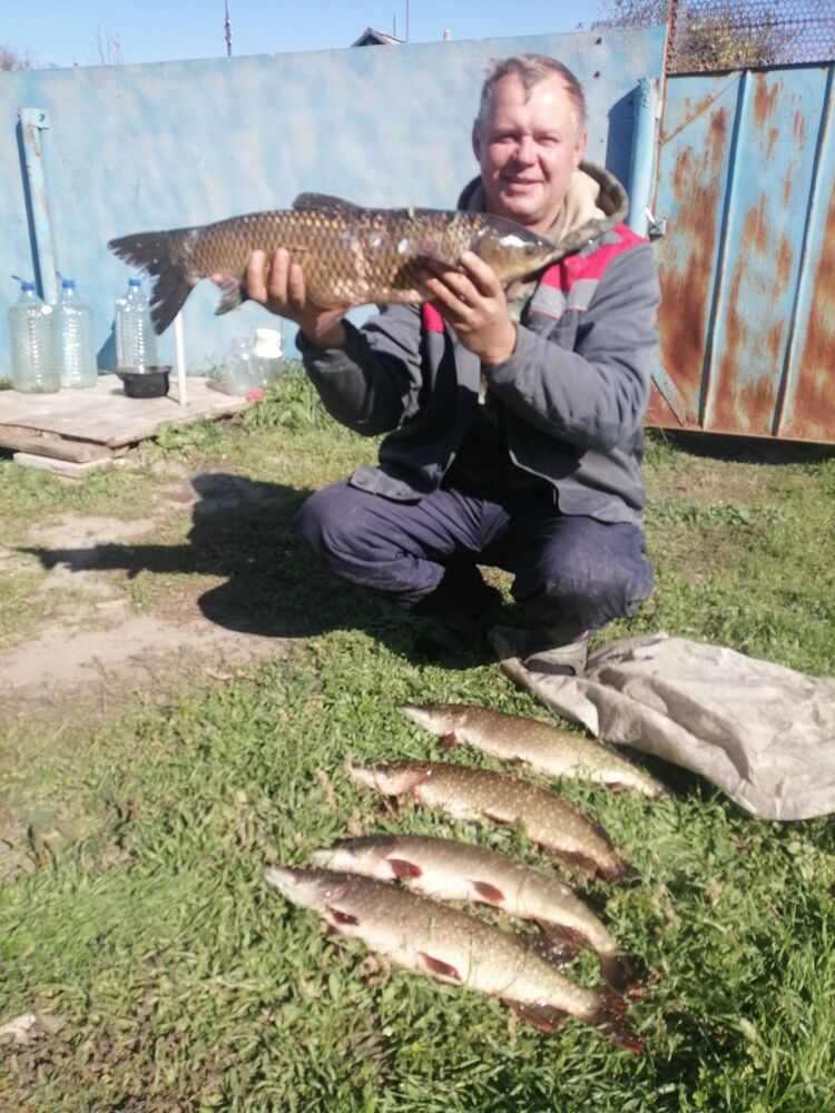 ���� 25290738 ������� ������, 48 ���, ���� ���������� � ������