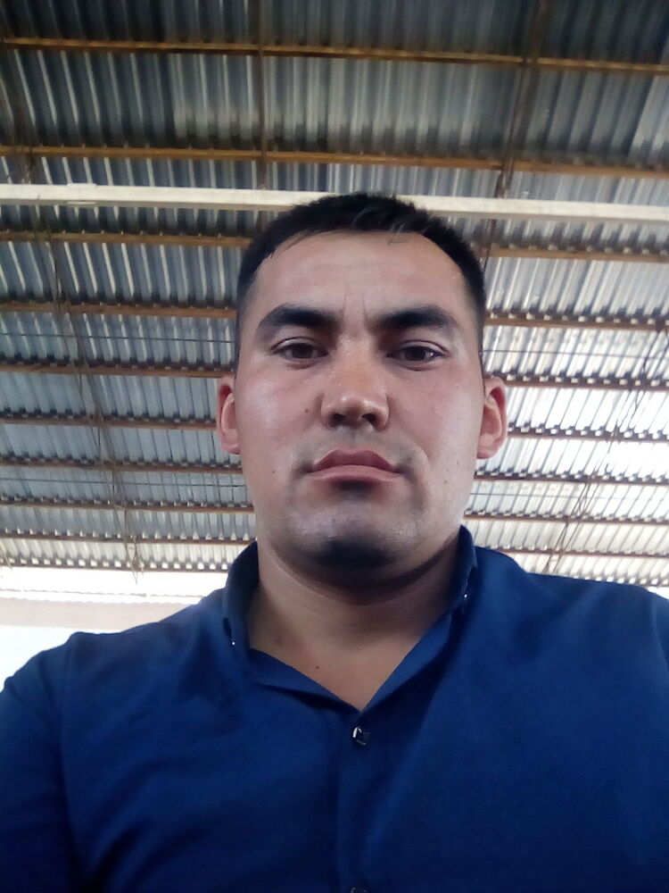  16978558  Sardor, 30 ,    