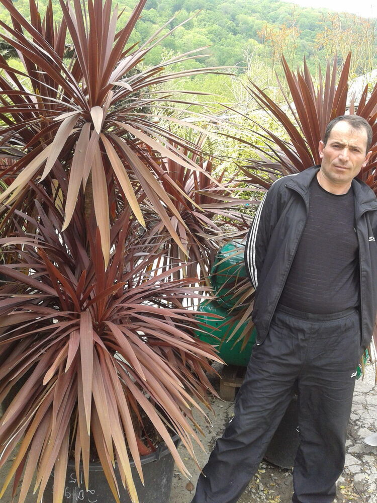 ���� 24390418 ������� ����, 47 ���, ���� ���������� � �������