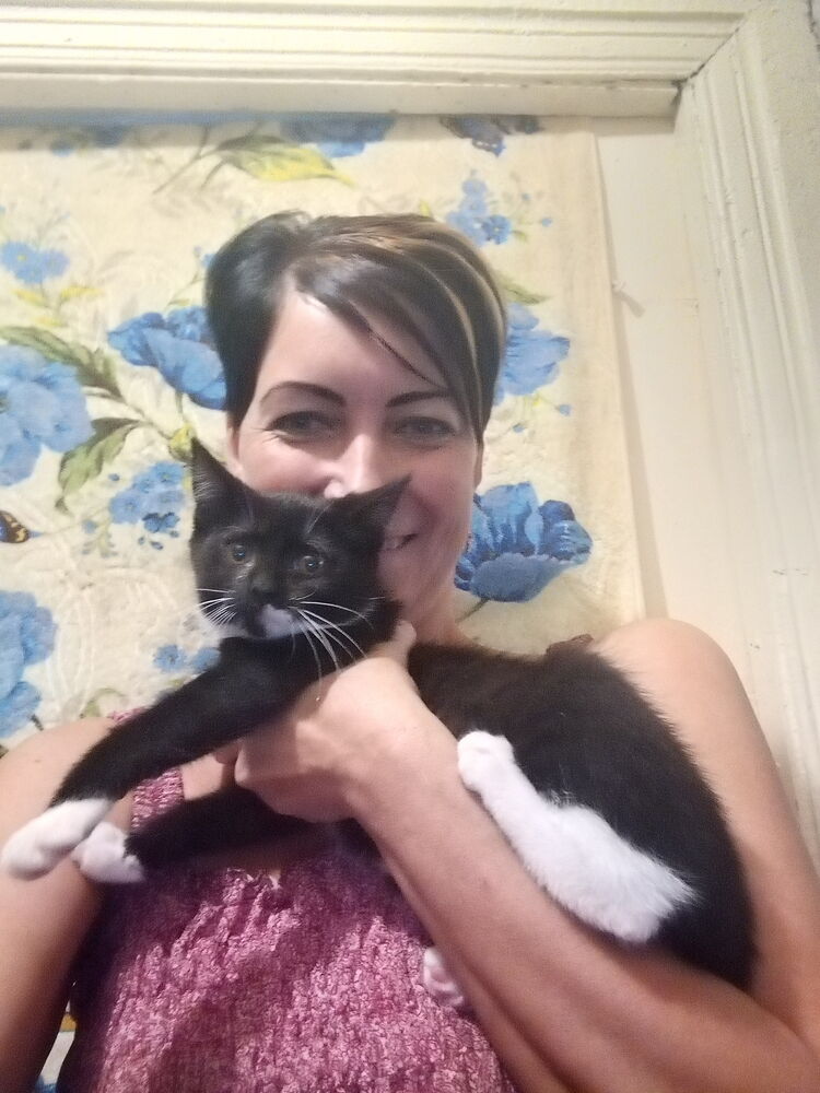  ,   , 44 ,   