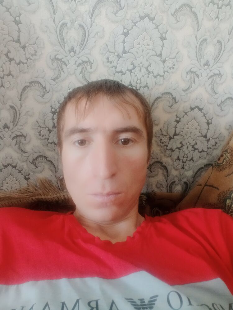  24431458  , 40 ,    