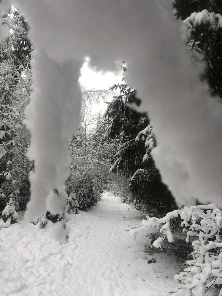 ���� 22047188 ������� Vitasss, 30 ���, ���� ���������� � ��������