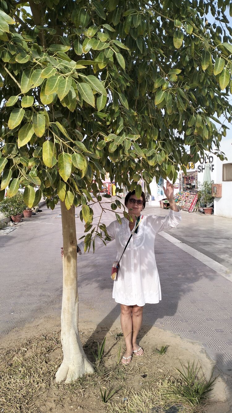 ���������� �����������, ���� ������� ��������, 56 ���, ������������ ��� ������, ����� � ���������