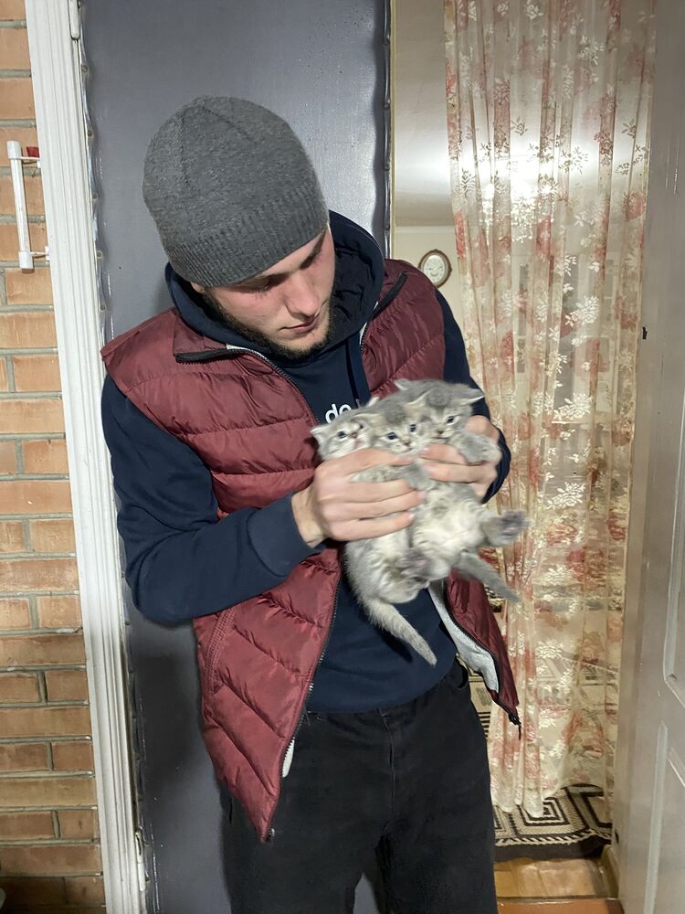 ���� 53591718 ����� �����, 22 ����, ���� ���������� � ������