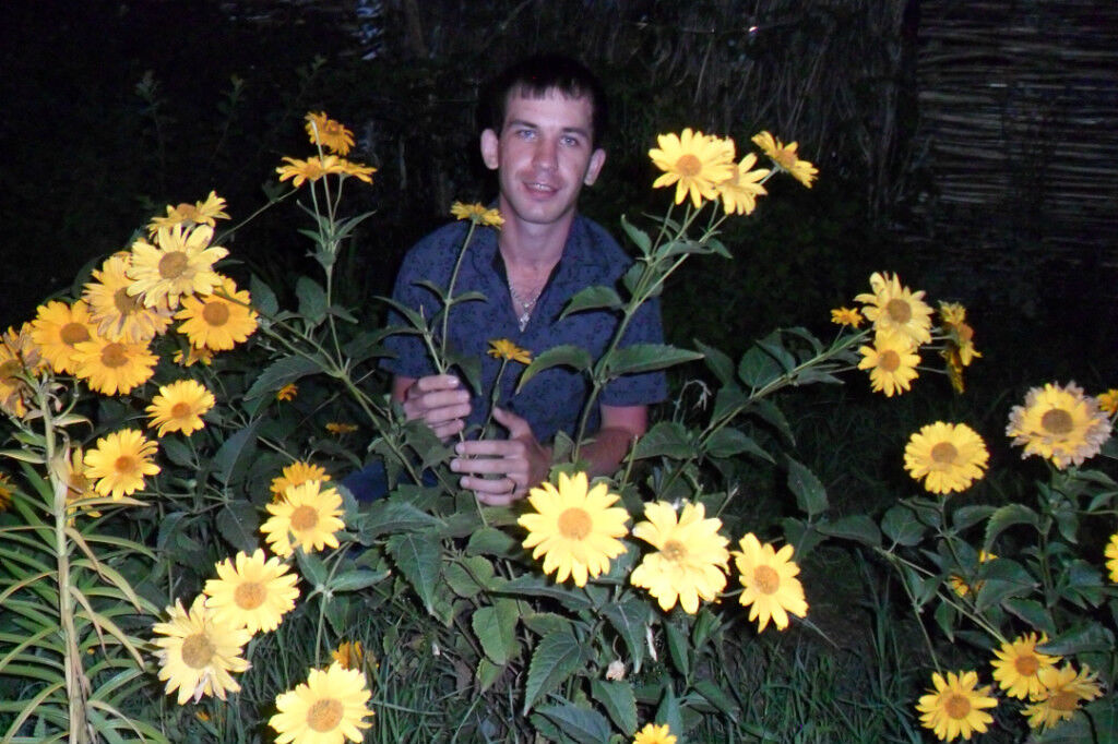 ���� 6865118 ������� �������, 34 ����, ���� ���������� � ��������