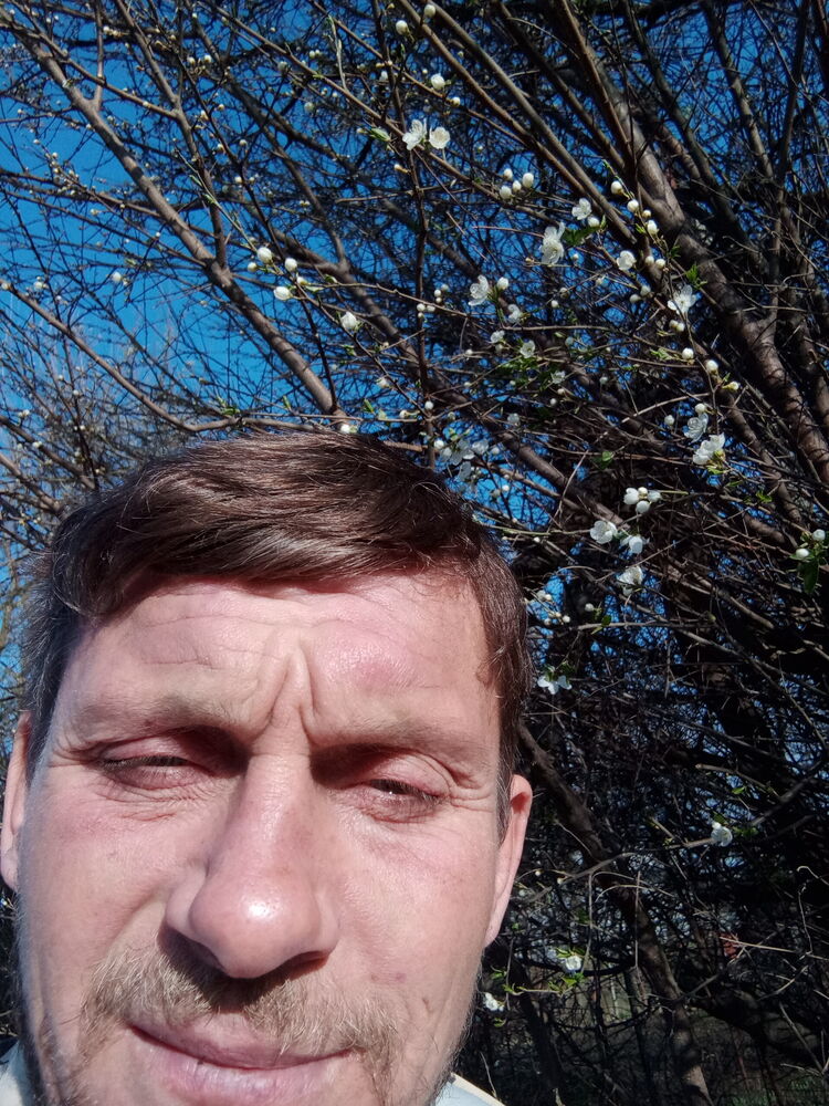 ���� 42088348 ������� ��������, 43 ����, ���� ���������� � ����������