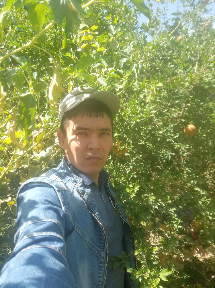 ���� 21325248 ������� ���������, 37 ���, ���� ���������� � ������