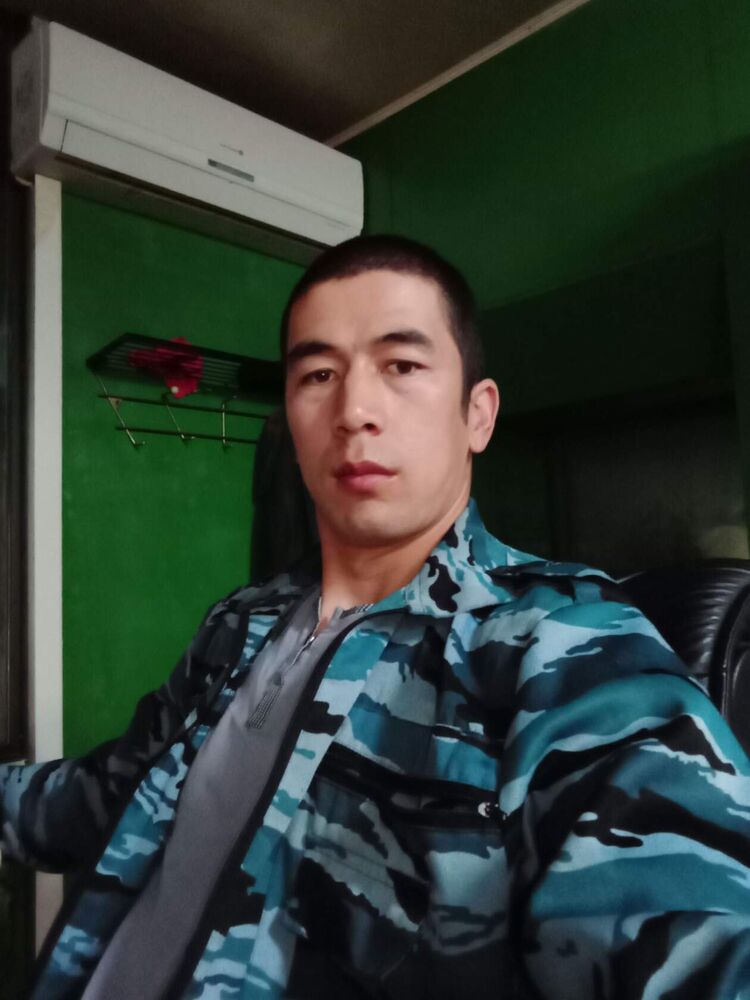  43679838  , 33 ,     