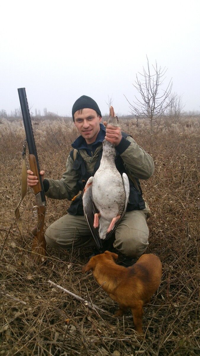 ���������� ���������, ���� ������� ���������, 38 ���, ������������ ��� ������, ����� � ���������, c�������� ���������