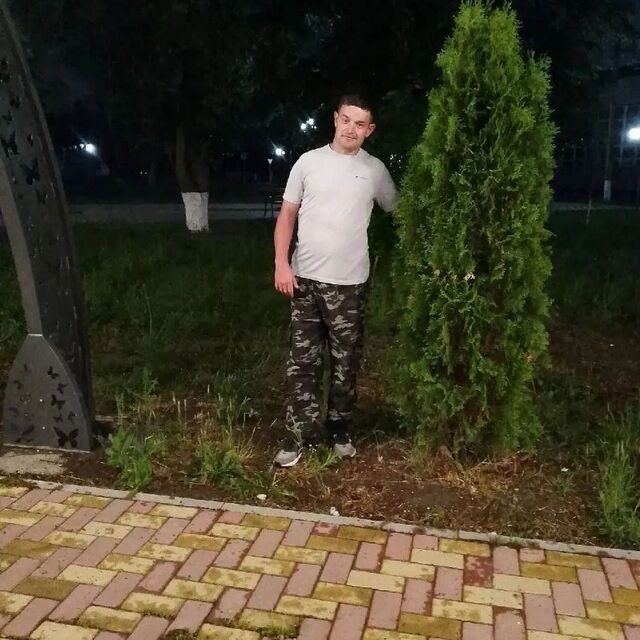  47040738  , 34 ,    