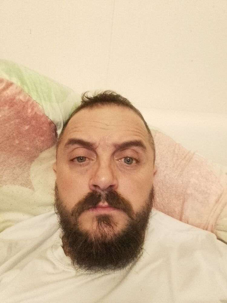  33542688  , 41 ,    