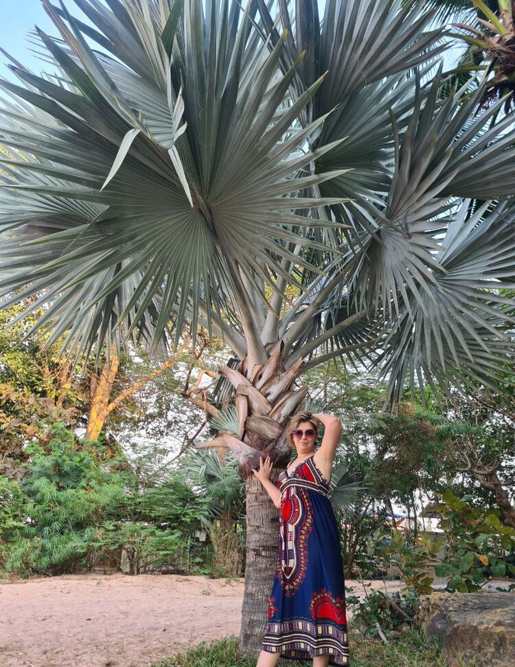 ���������� �������, ���� ������� ������, 53 ����, ������������ ��� ����� � ���������, c�������� ���������