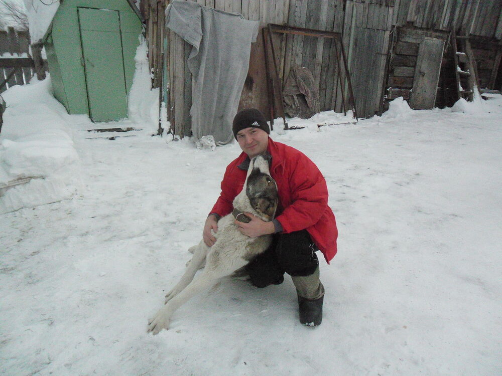 ���� 10603458 ������� ������, 40 ���, ���� ���������� � �������