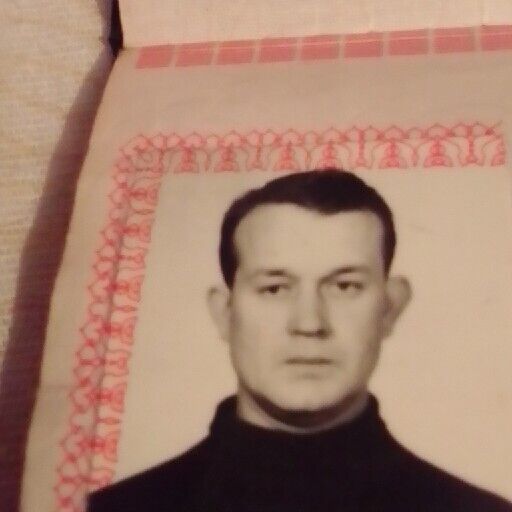 ���� 33162948 ������� ����, 48 ���, ���� ���������� � ������