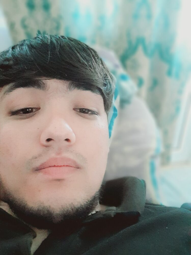  45020618  , 24 ,    