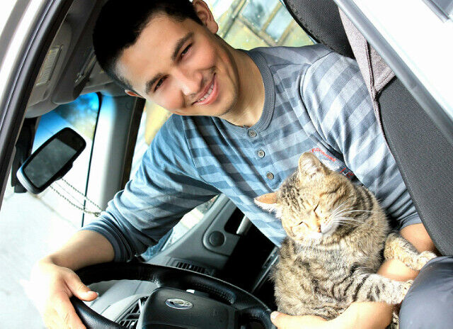 ���������� ������, ���� ������� �������, 37 ���, ������������ ��� ������, ����� � ���������, c�������� ���������