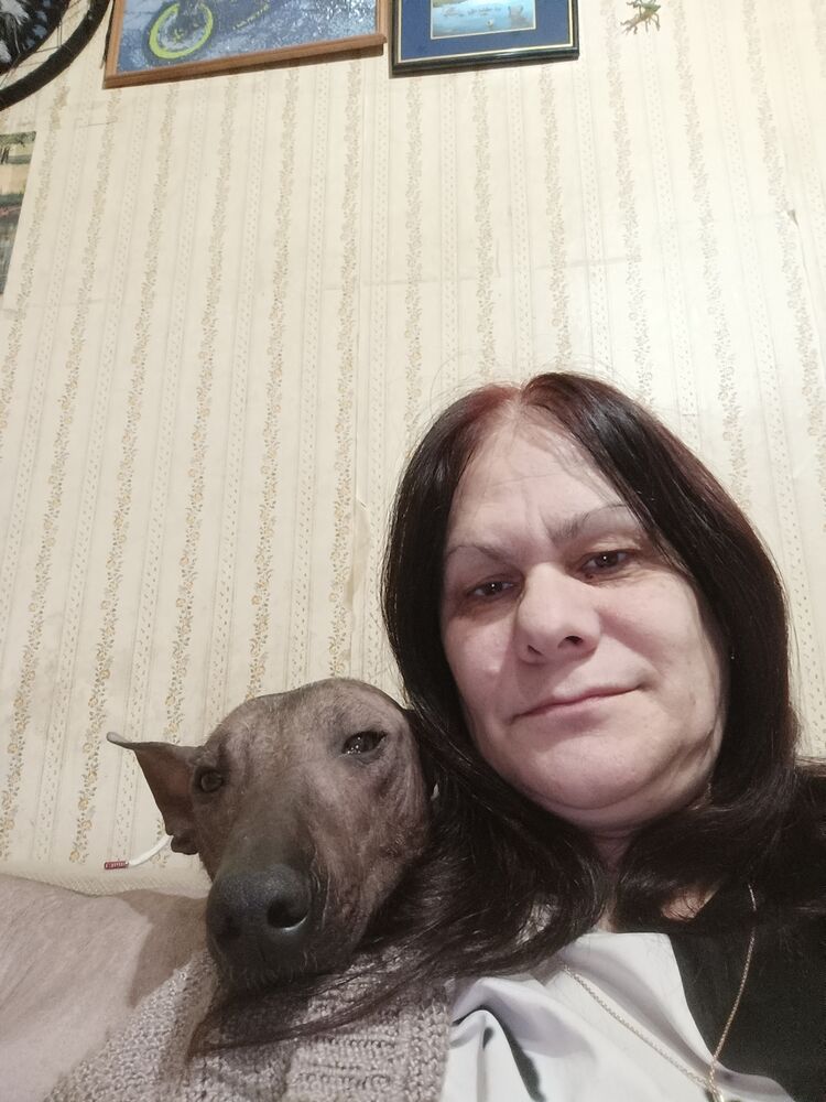  ,   , 61 ,   