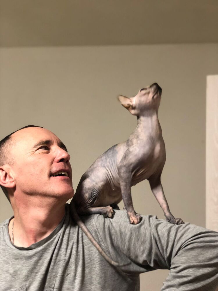 ���� 41856948 ������� ���������, 50 ���, ���� ���������� � ����������