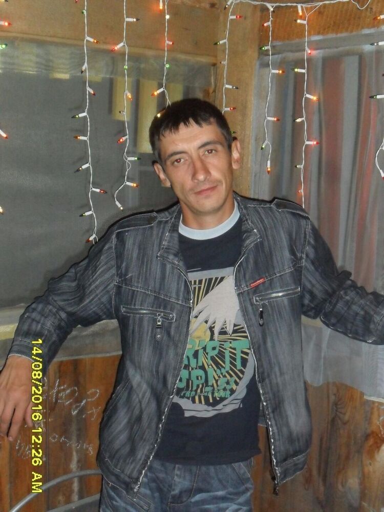  53936498  , 41 ,    