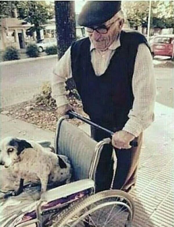 ���� 49729698 ������� �����������, 99 ���, ���� ���������� � ������