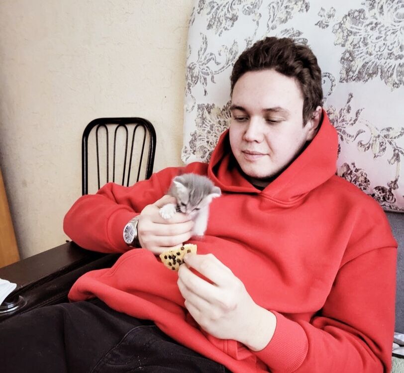 ���� 31366588 ����� ������, 24 ����, ���� ���������� � ������ ���������