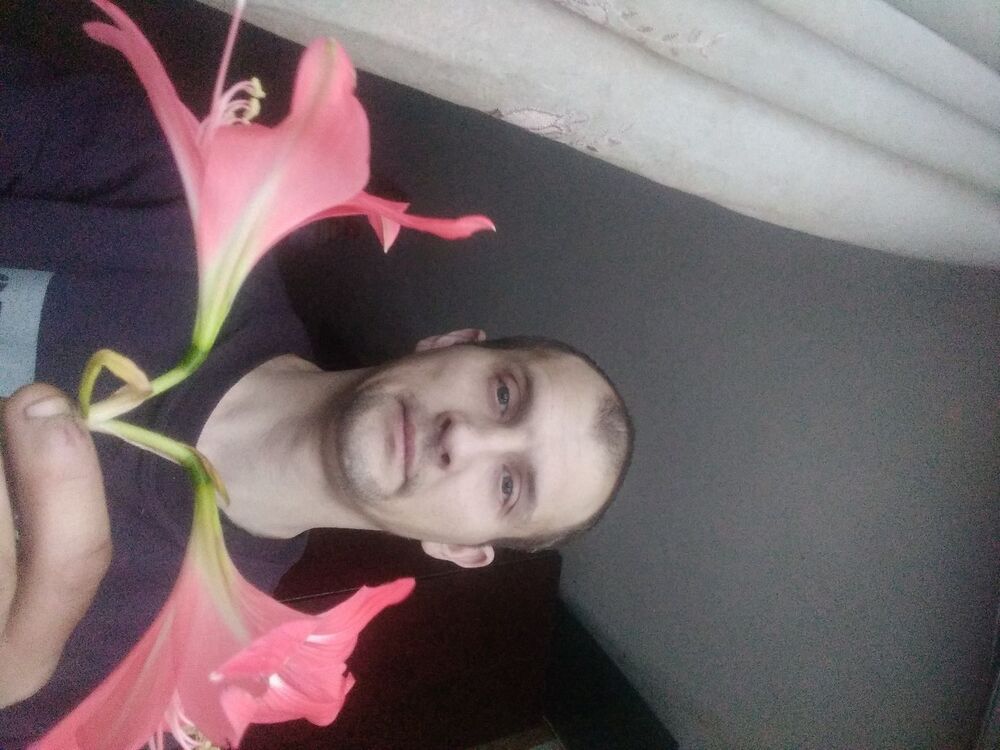 ���� 33129068 ������� �������, 31 ���, ���� ���������� � ������