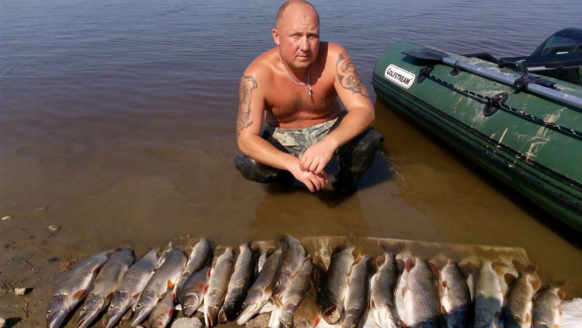 ���������� ������, ���� ������� �������, 54 ����, ������������ ��� ������, ����� � ���������, c�������� ���������