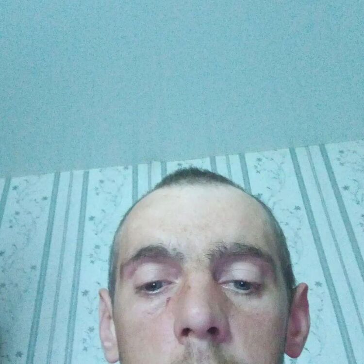  45732018  , 33 ,    