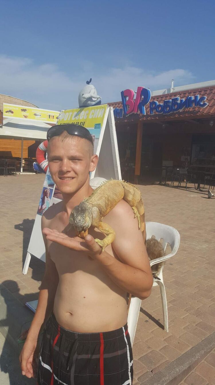 ���� 40755188 ������� �����, 34 ����, ���� ���������� � ����������