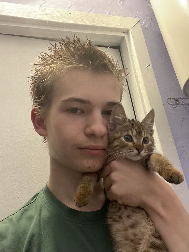 ���� 55089248 ����� �����, 19 ���, ���� ���������� � ������������