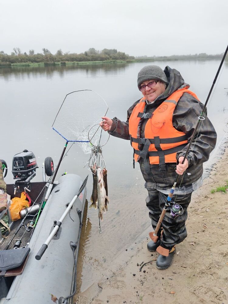 ���� 50049468 ������� ������, 58 ���, ���� ���������� � ������