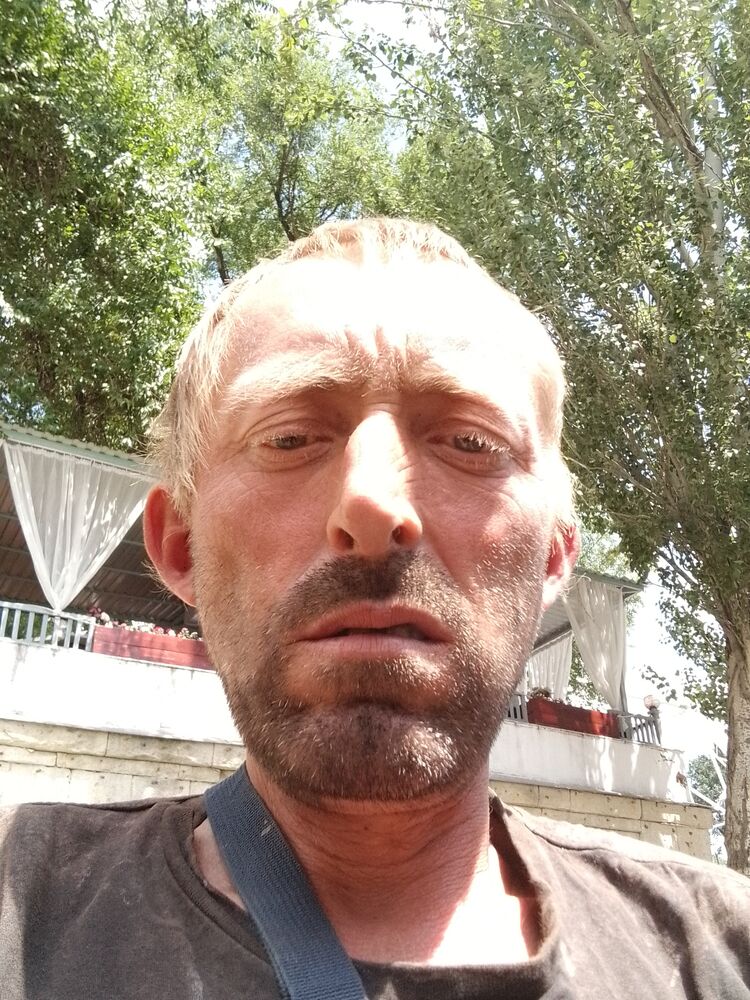  43747568  , 51 ,    