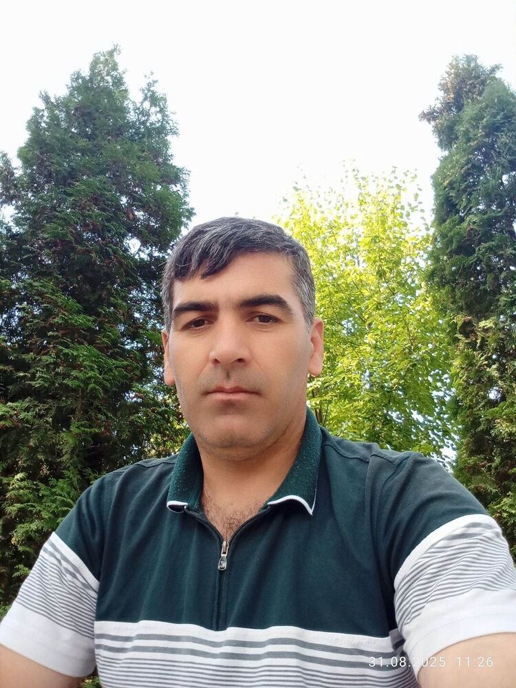  53358828  , 38 ,    