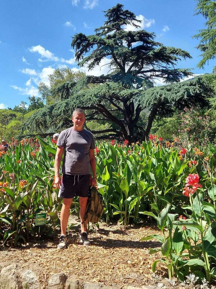 ���� 53136108 ������� �����, 40 ���, ���� ���������� � ������