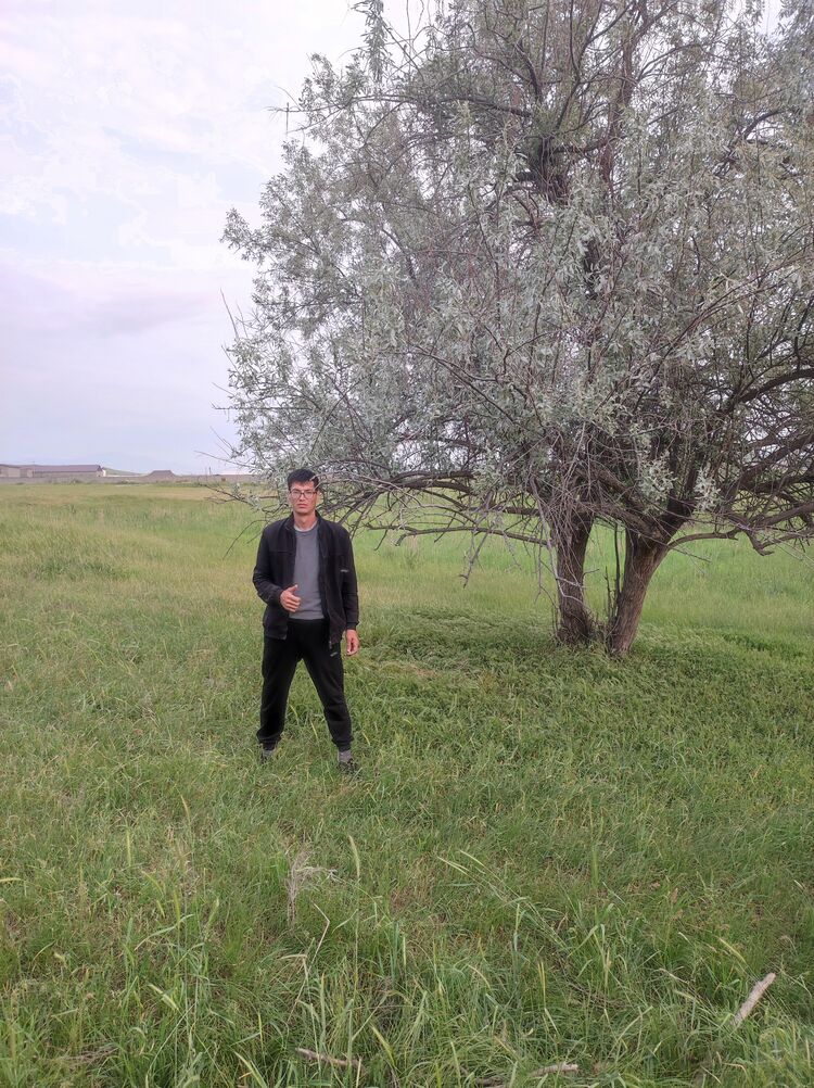 ���� 34342598 ������� ����, 38 ���, ���� ���������� � ��������