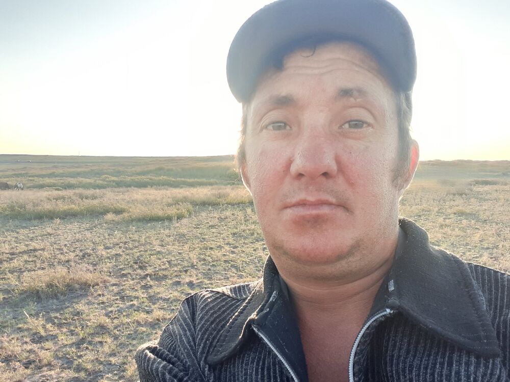 ���� 38561898 ������� �������, 38 ���, ���� ���������� � ���������