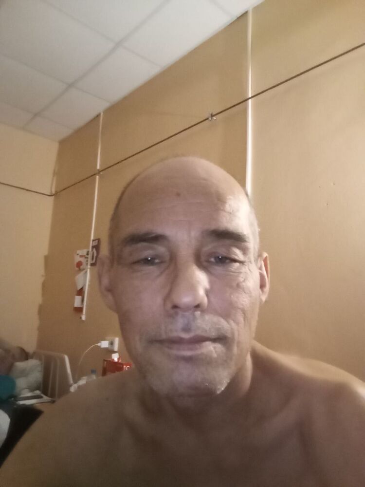  50256118  , 48 ,    -