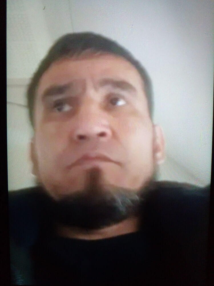  23180478  , 50 ,    