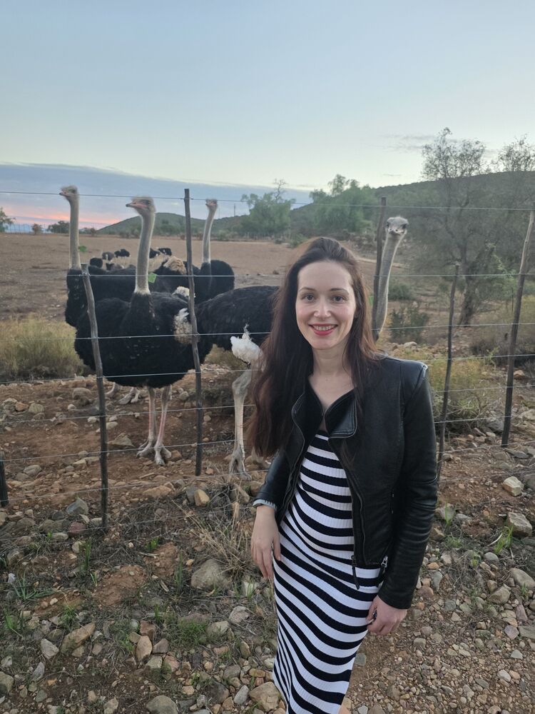 ���������� ������, ���� ������� ���������, 39 ���, ������������ ��� ������, ����� � ���������