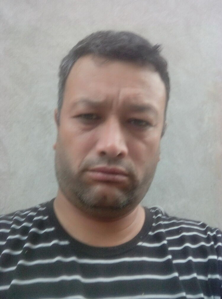  20839278  , 47 ,    