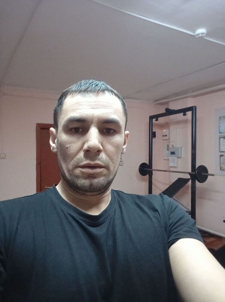  31556368  , 37 ,    