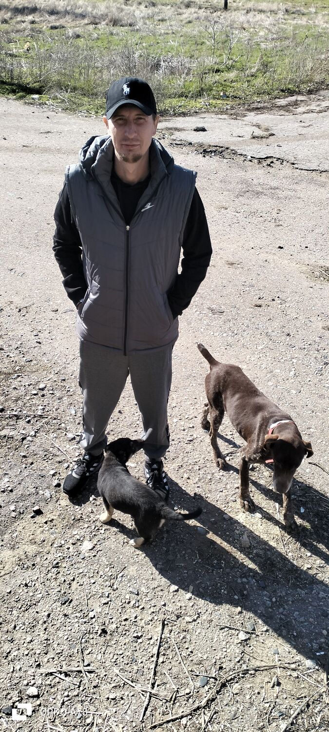 ���������� �����������, ���� ������� ������, 38 ���, ������������ ��� c�������� ���������