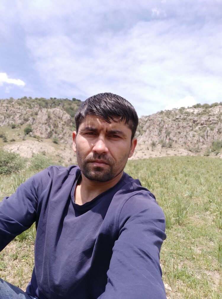 ���� 23100458 ������� �����, 33 ����, ���� ���������� � �������