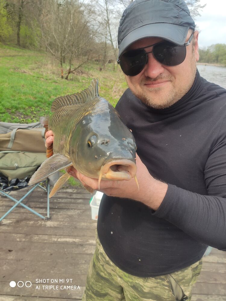 ���� 26219518 ������� ������, 41 ���, ���� ���������� � ���������