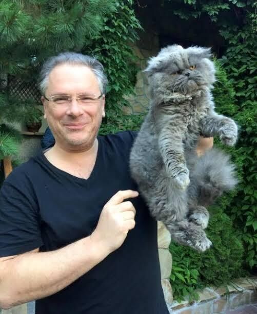  46956348  Alexey, 54 ,    