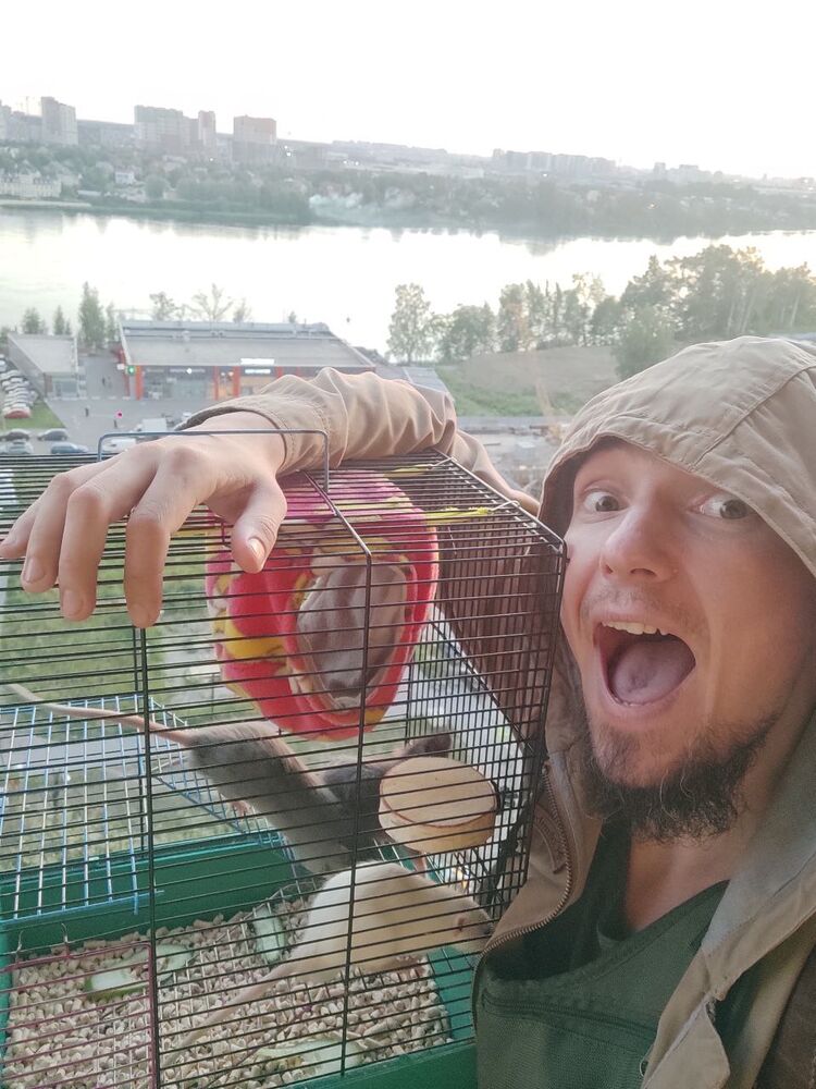 ���������� �����-���������, ���� ������� �����, 35 ���, ������������ ��� ������, ����� � ���������