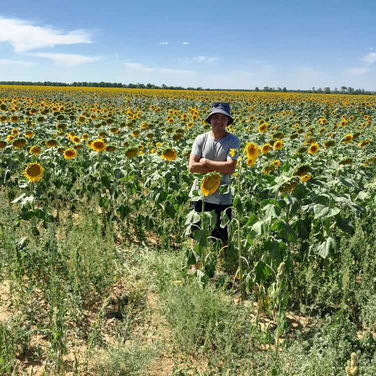 ���������� �����, ���� ������� �������, 40 ���, ������������ ��� ������, ����� � ���������